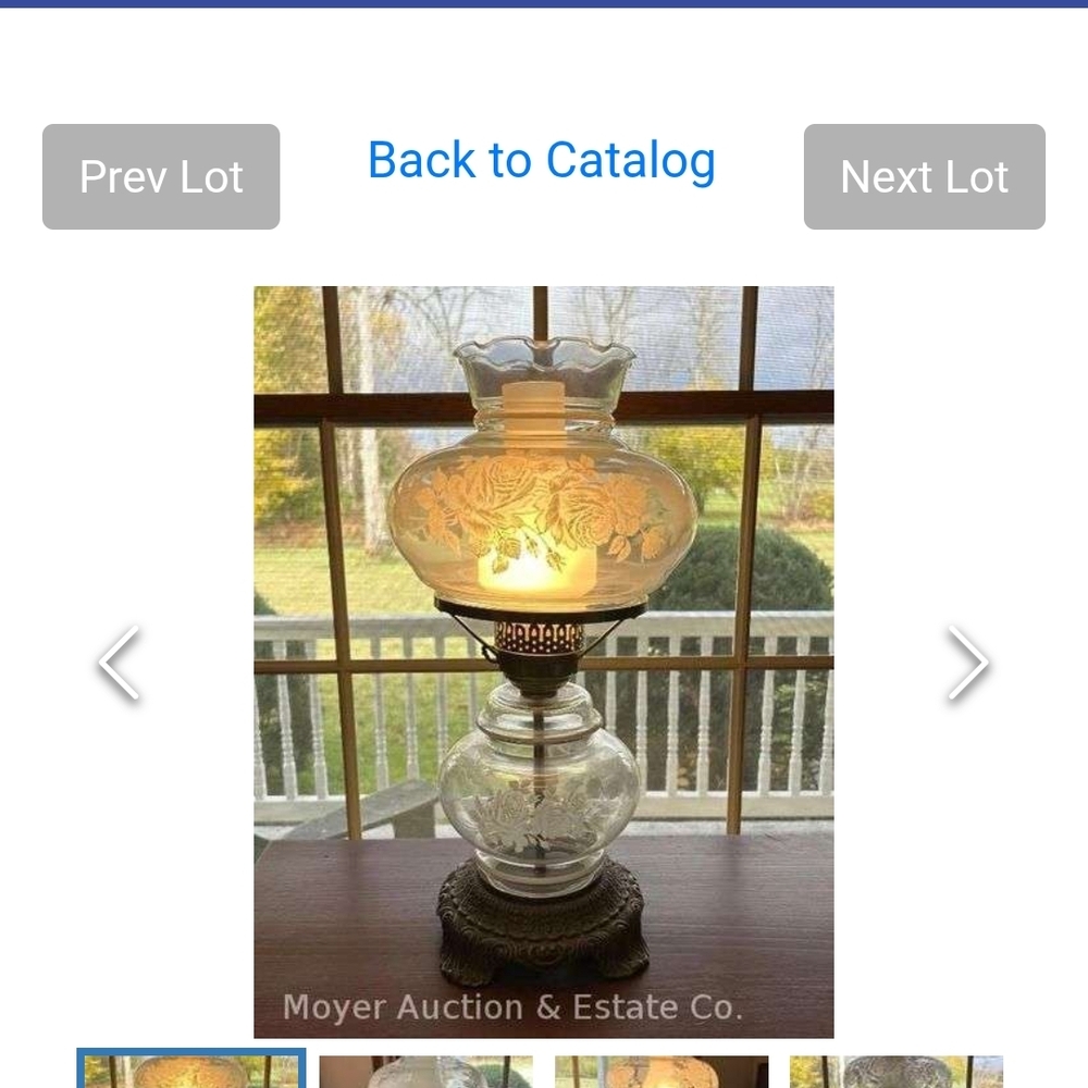 Elegant Glass Table Lamp with Floral Design